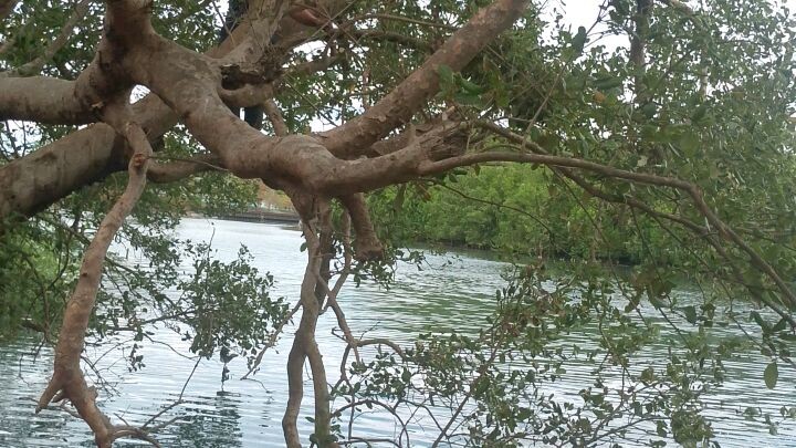 sarap maGing bata ulit