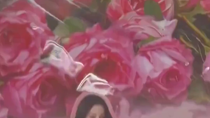 Unboxing merchandise Libai: Mahkota merah muda dan stiker putri mawar Timur Jauh, kualitasnya mantap