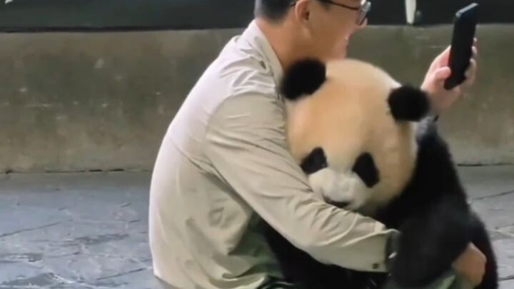 She’s been a clingy little sweetheart since she was a baby—looks like the “fox charm” gene skips dau