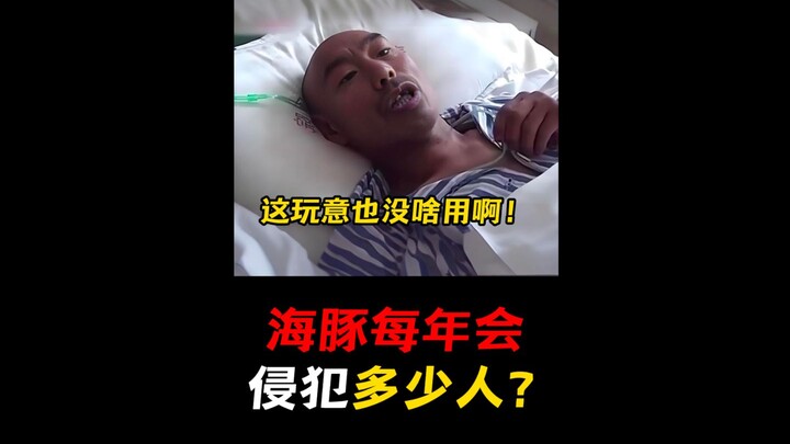 Do you know how many people dolphins attack each year?