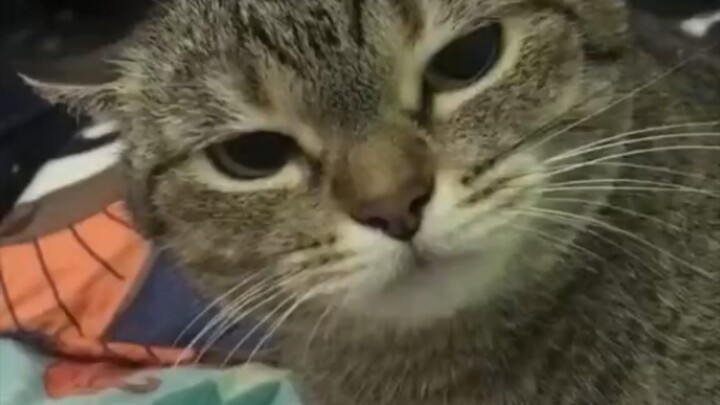 KKWKWWKWKKWKW