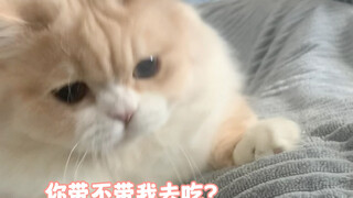 Bawa gak bawa aku makan!!!