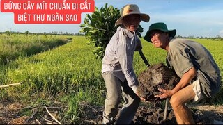 Biết Khương Dừa về chơi chuẩn bị cái trại ngoài đồng tiếp bạn để khỏi bị nó cà khịa