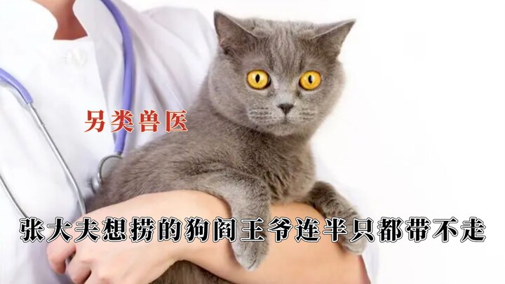 It’s absolutely mind-blowing even within the entire veterinary world—creepy vibes, but top-tier medi