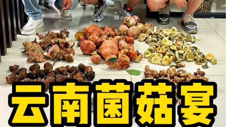 الفطر الأول في يوننان وصل أخيرًا. لازم تجربه ولو مرة!