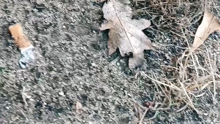 我在里斯本藏了一个3D打印钥匙扣！你能找到它吗？🇵🇹👀