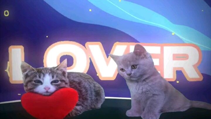 Little Silly Cat Sings a Love Song