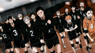 karasuno team <3