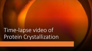 Time-lapse video of Protein Crystallization