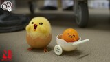 Escape from the Fridge | Gudetama: An Eggcellent Adventure | Clip | Netflix Anime