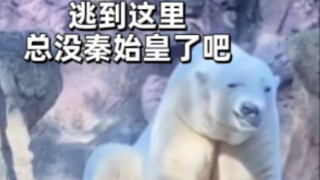 只 要 是 德 语 就 画 风 突 变