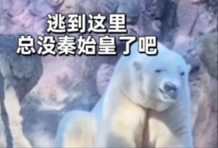 只 要 是 德 语 就 画 风 突 变