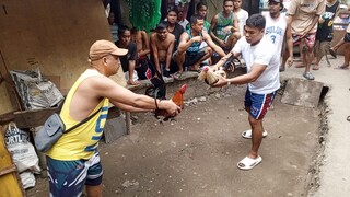 Dec 24 2024 talisay vs buyugin