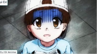 Tóm Tắt Anime Hay- Khi Các Tế Bào Làm Việc - Review Anime Cells At Work 1