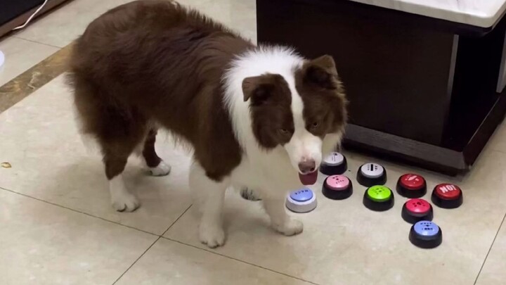 Let's take a look at what these two were up to while I was away!