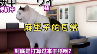 【熟肉】一对父女来找麻里子打Apex | 猫meme