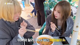 [ENG SUB] What happens when two couples go to an amusement park | tripleS | SIGNAL 250828