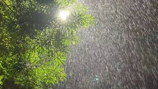 satisfying rain