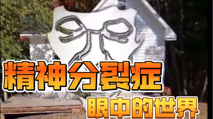 The World Through the Eyes of Schizophrenia