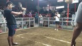 BATANG QC IBAAN COCK PIT ARENA SECOND FIGTH (CHAMPION)