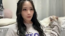 Iriuchijima Sayaka (SKE48/SHOWROOM Live Streaming/2024.03.04)