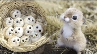 Cute baby animals Videos Compilation cute moment of the animals #9 Cutest Animals 2023