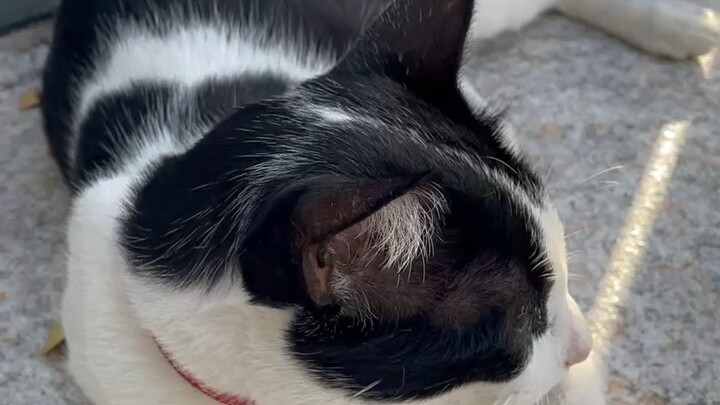 Please say hello to me