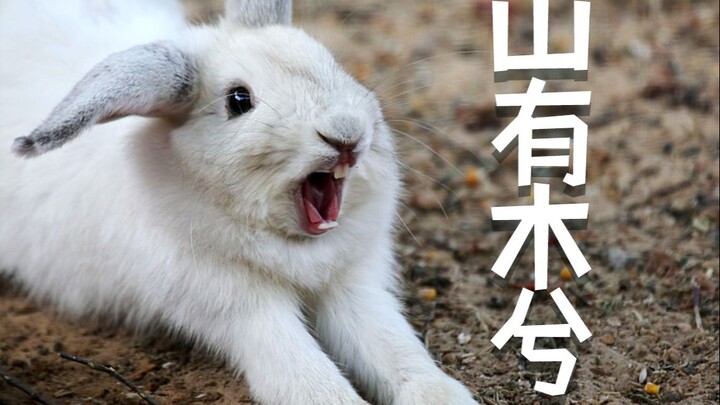 Nghe nói mọi người muốn nghe tôi hát bài này, nhưng hôm nay hơi mệt một chút