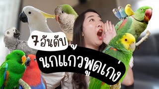 7 อันดับ นกพูดเก่ง+ราคา  EP.270