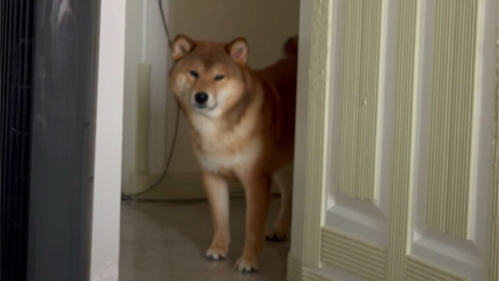 Anak mama yang gede banget (Mending kamu masuk aja)