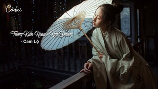 [Vietsub + Pinyin] Tương Kiến Hoan · Hải Đường (相见欢·海棠) - Cam Lộ