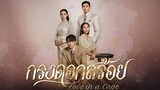 Love in a Cage EP.13(1/3)