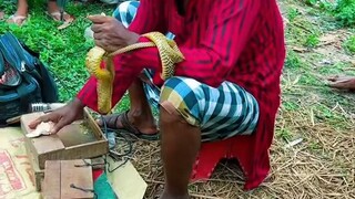 দেখুন সাপুড়ে কী বলে