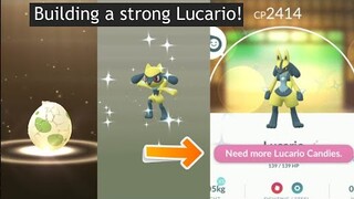 I build a strong Shiny Lucario from 2km egg. Shiny Riolu hatched!