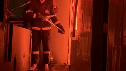 aksi damkar menembus kobaran api kebakaran