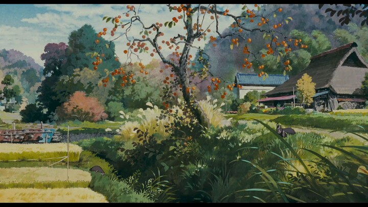 Pom Poko-Cuộc chiến gấu mèo