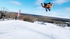 LIKE A BOSS AMAZING RESPECT VIDEO #11