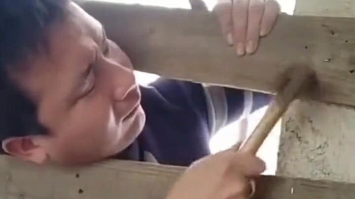 〖The Ceiling of Human IQ〗