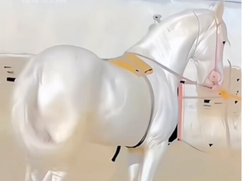 Chú ngựa trị giá hàng chục triệu, đúng chuẩn “Ferrari trong thế giới ngựa”!