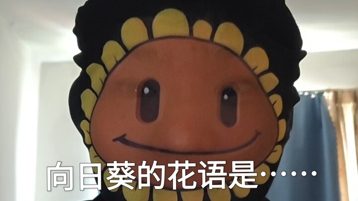 The language of sunflowers