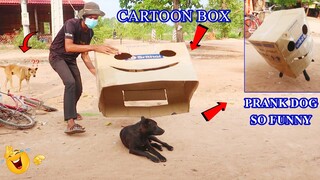 Dog Pranks By Cartoon Box | The FULL Prank | The Best Cartoon Box Prank Dog| Hilarious Big Box Prank