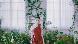 【Red Velvet】IRENE《Like A Flower》Performance Video