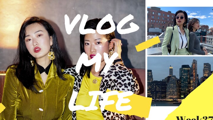 “Weekly Vlog” Lao Shao’s New York Shopping Spree Revealed, and the Two Sneeze-Prone Guys Cause Chaos