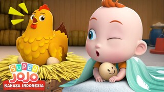 JoJo Menetaskan Ayam Kecil | Belajar Pengetahuan Anak | Lagu Anak-anak | Super JoJo Bahasa Indonesia