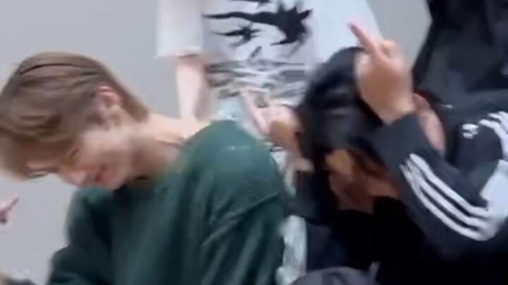 【珉灰/猫狗】嗨到残影 ‖ 炽cha 230506