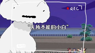 无所不能的小白