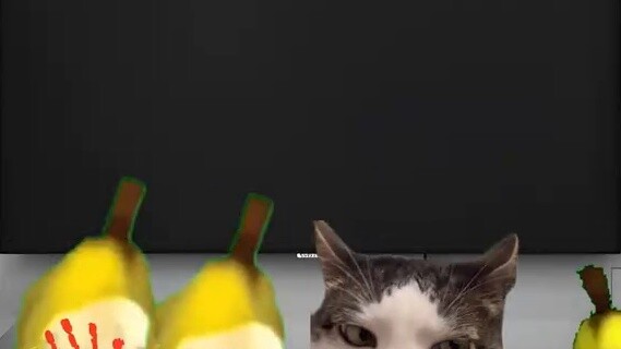 When you go to your girlfriend's house for the first time #CatMeme #AgainstTheSky #NeverExpected