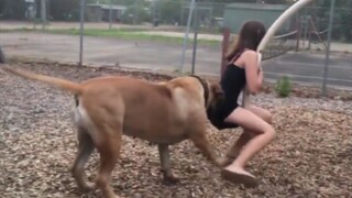 "Bọn họ đã nhận tội chưa?"