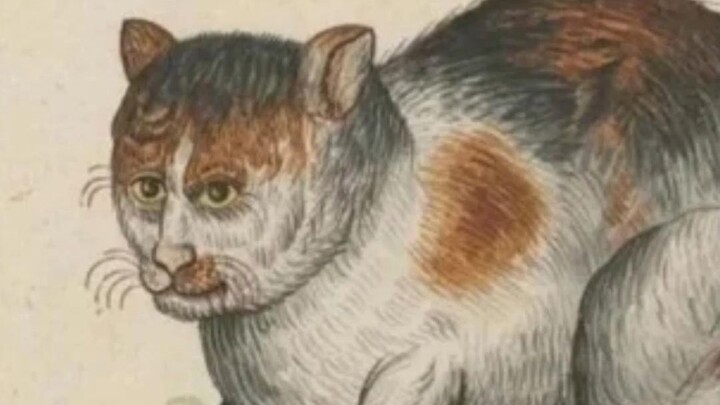 Humans draw cats ugly—how mean. Cats don’t hold it against them—they’re so kind.