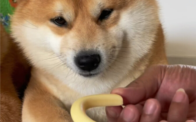 I’m eating yogurt sticks today—now I want some too!